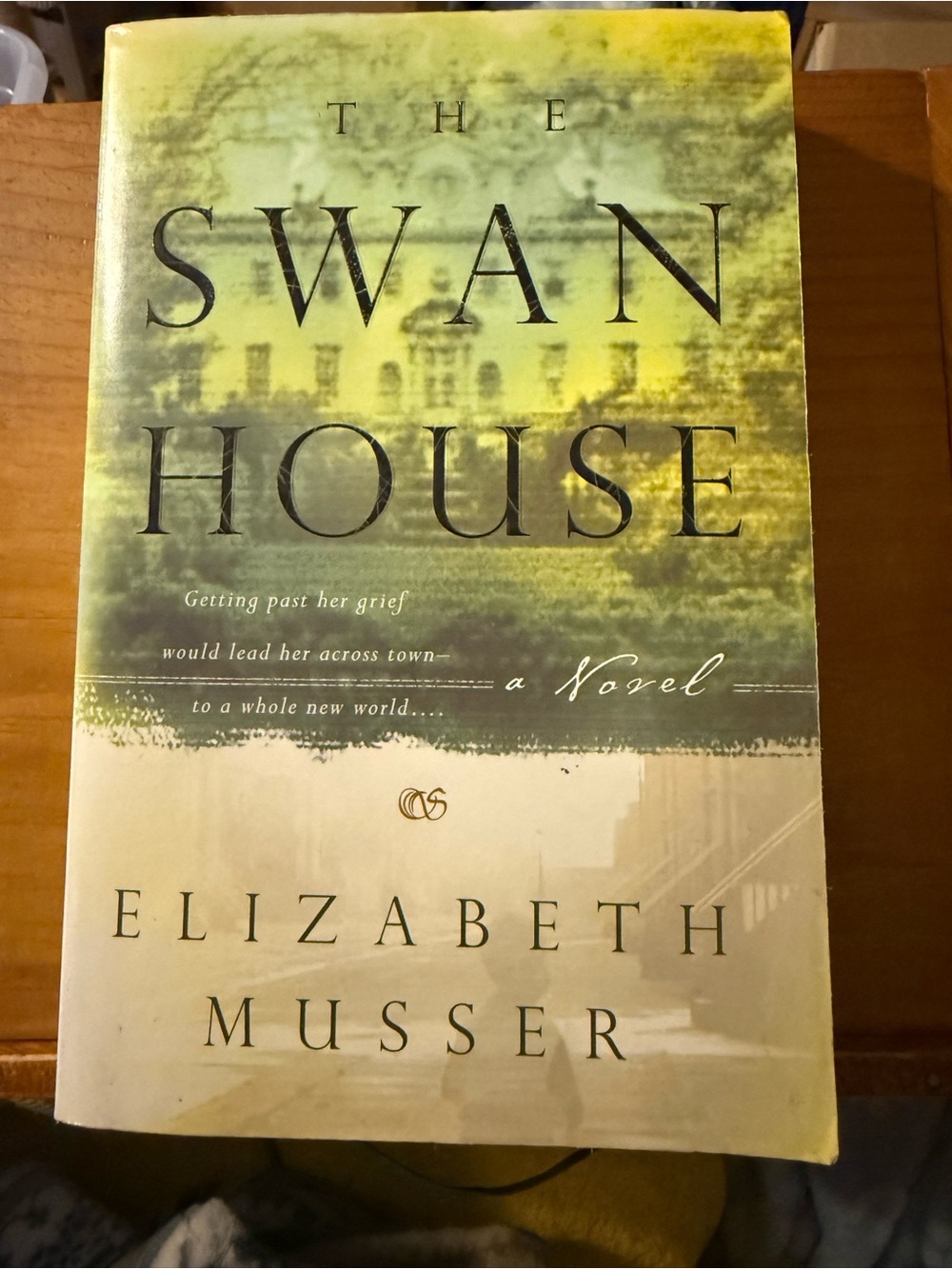 The Swan House A Novel by Elizabeth Musser Fiction Book